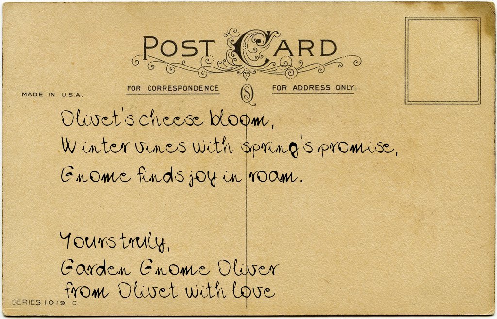 Gnome's postcard from France