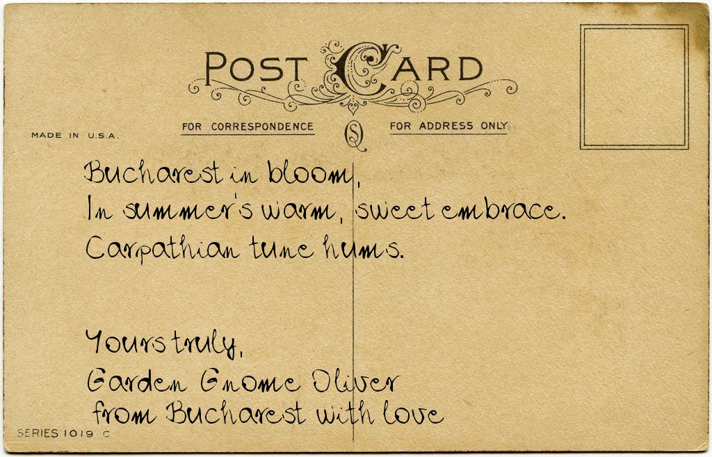 Gnome's postcard from Romania