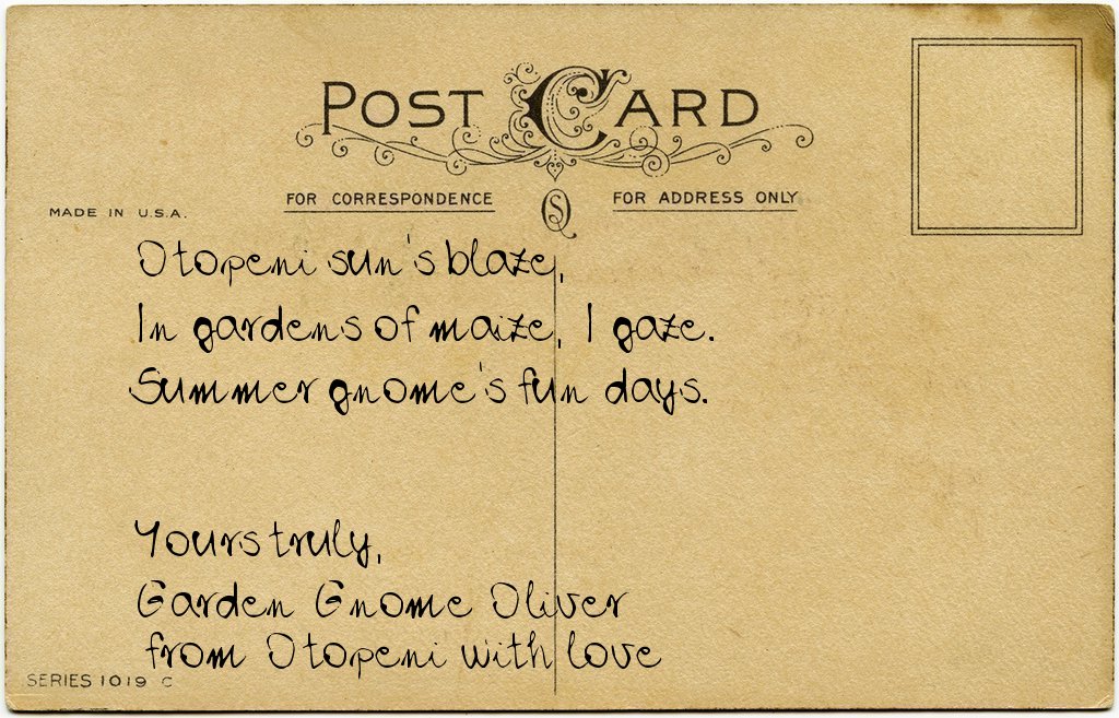 Gnome's postcard from Romania