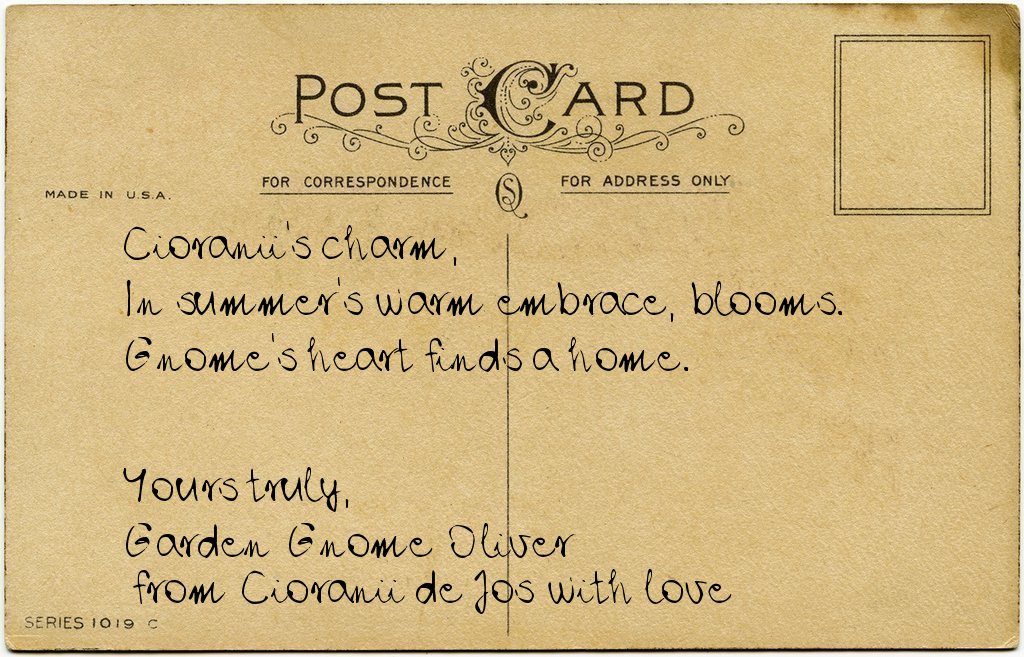 Gnome's postcard from Romania