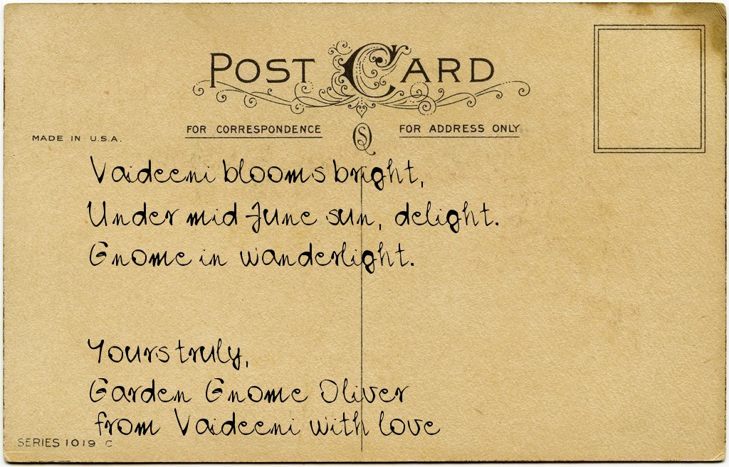 Gnome's postcard from Romania