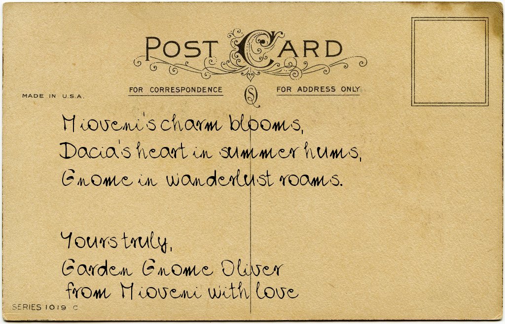 Gnome's postcard from Romania