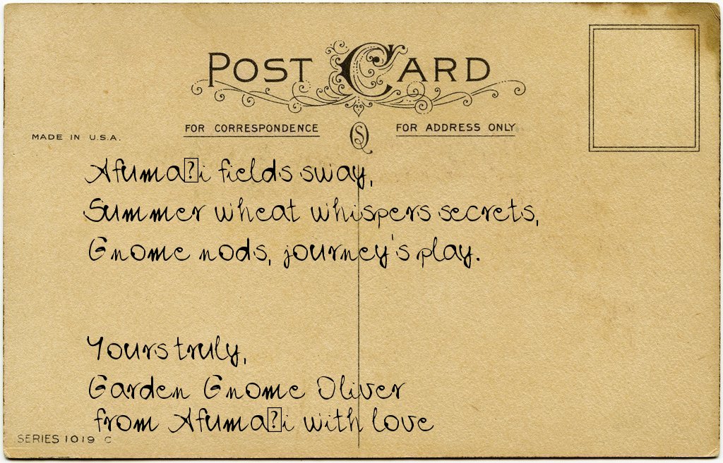 Gnome's postcard from Romania