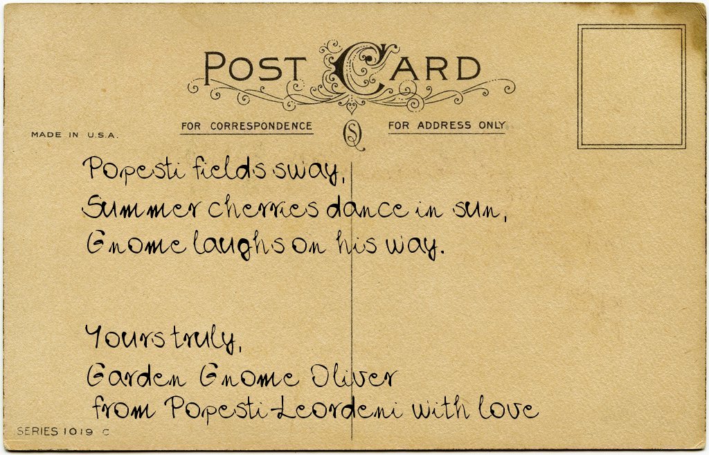 Gnome's postcard from Romania