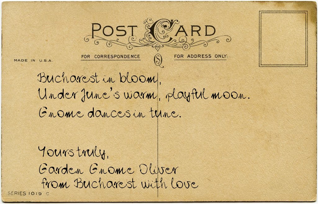Gnome's postcard from Romania