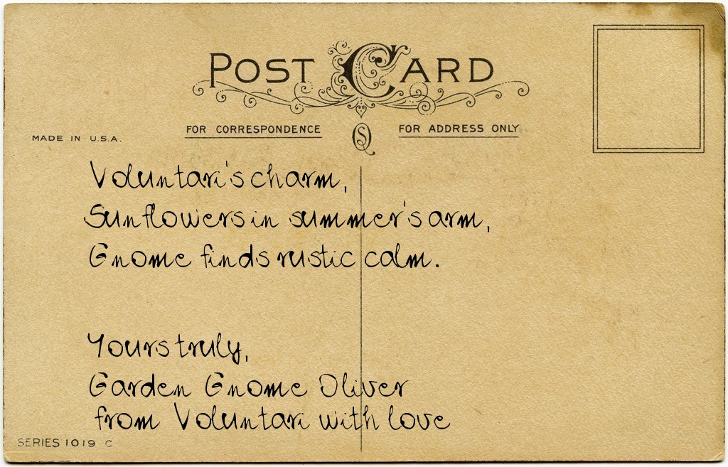 Gnome's postcard from Romania