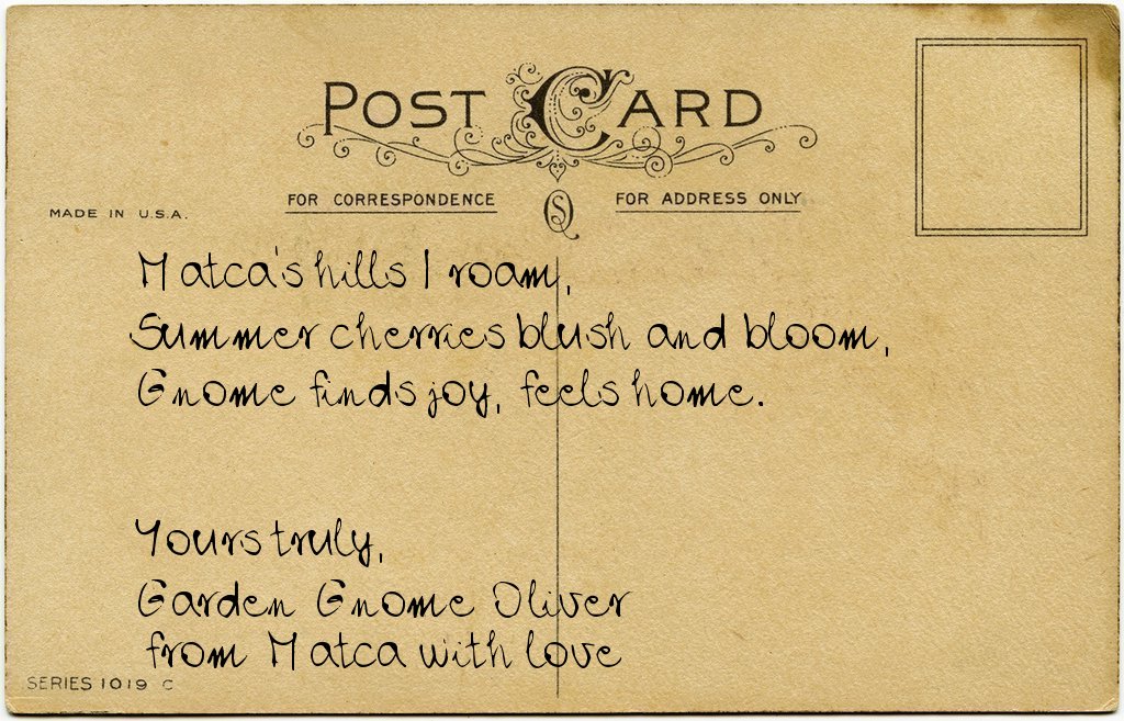 Gnome's postcard from Romania