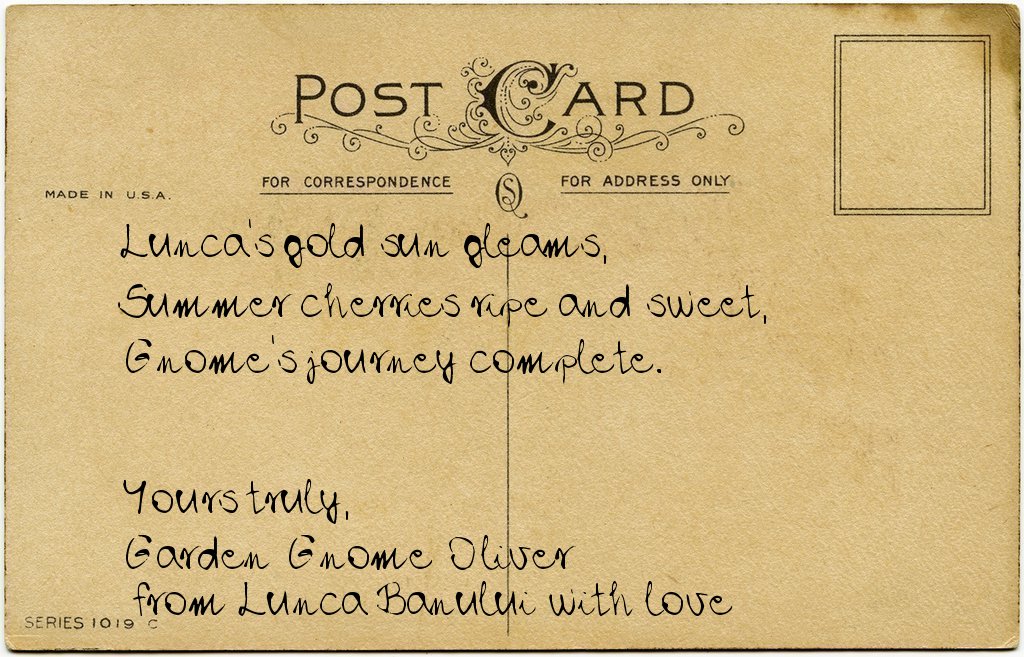 Gnome's postcard from Romania