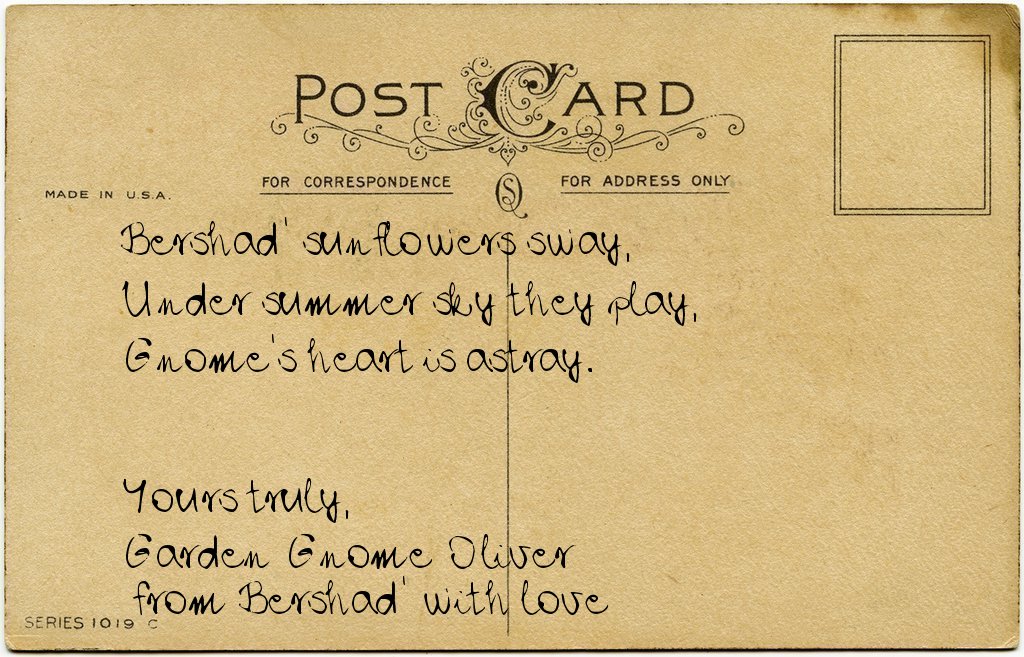 Gnome's postcard from Ukraine