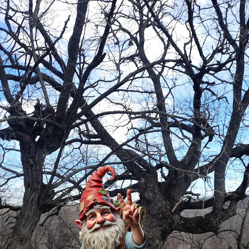 Gnome at POI 1