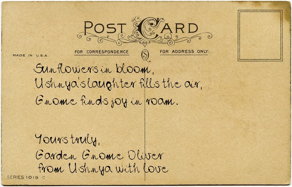 Gnome's postcard from Ukraine