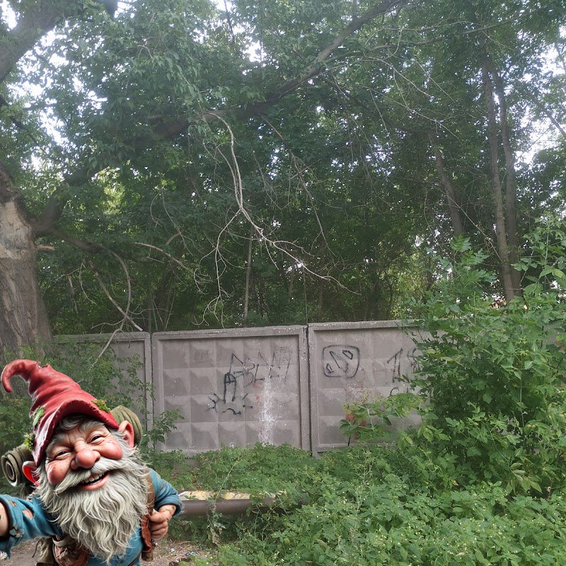 Gnome at POI 1
